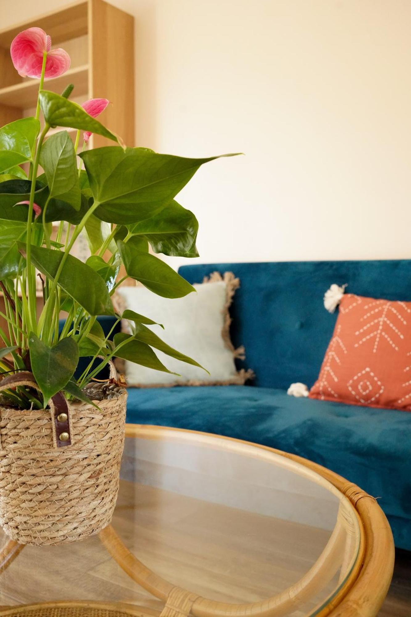 Le Cocon Bleu Apartment Parentis-en-Born